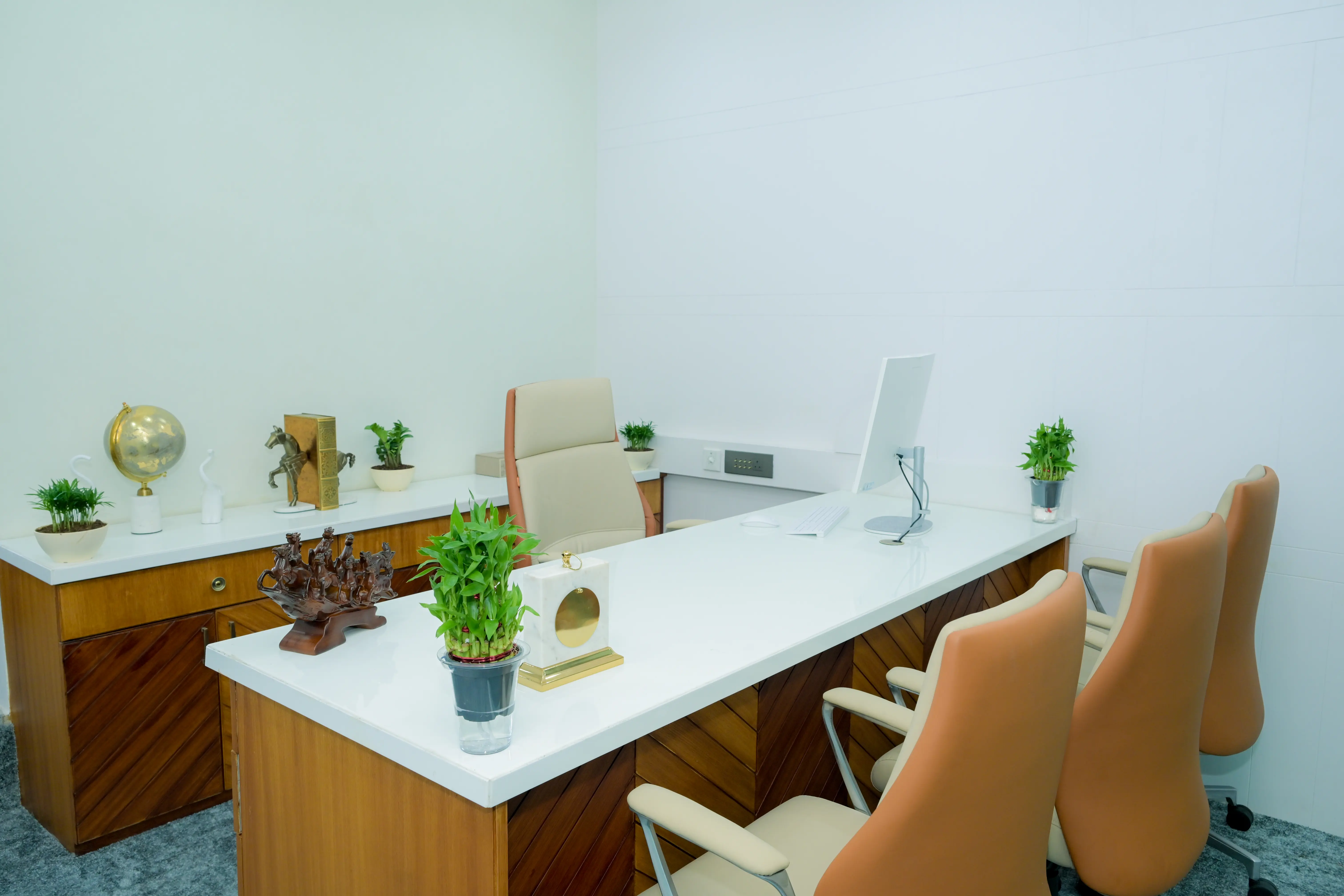 Head Office Activity